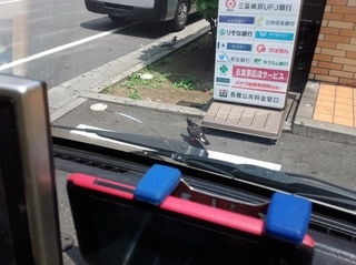 20160714_124751.jpg