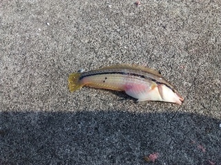 20160717_164207.jpg