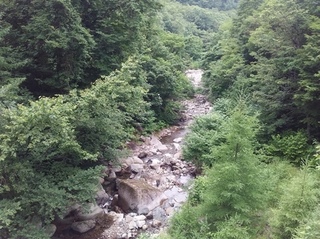 20160723_134452.jpg