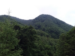 20160723_134808.jpg
